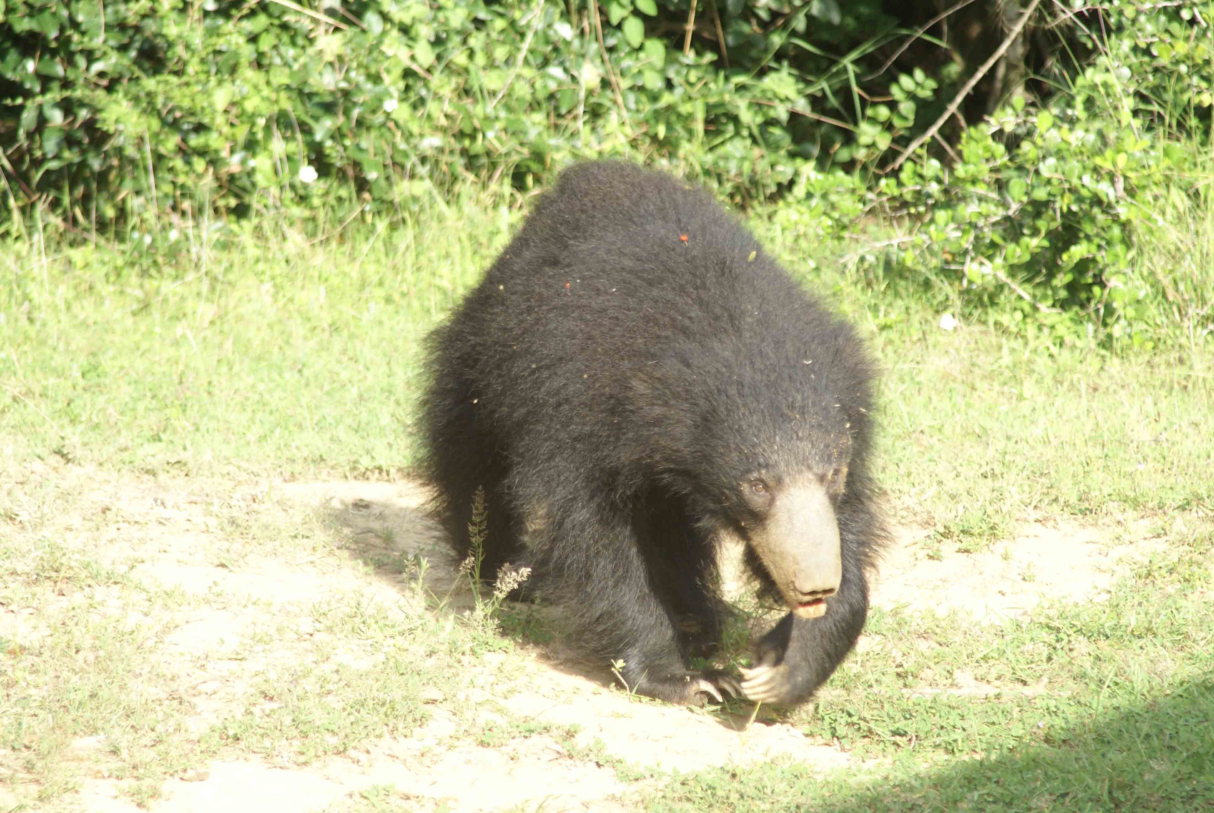  fasd fasd fasd fasd f